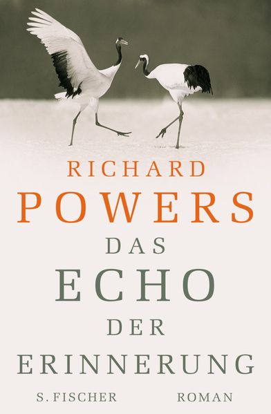 Cover: Das Echo der Erinnerung