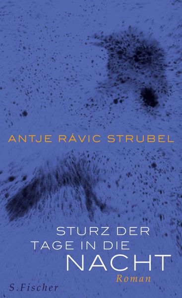 Cover: Sturz der Tage in die Nacht