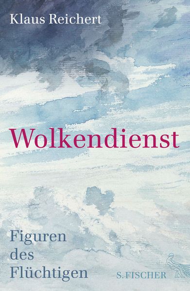 Cover: Wolkendienst