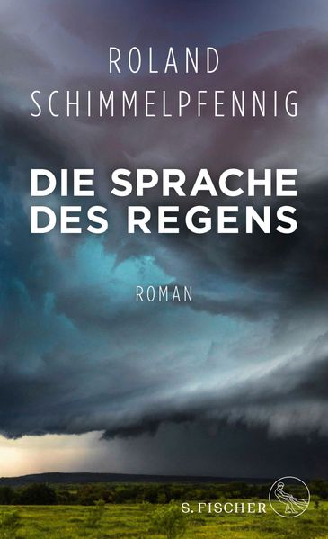 Cover: Die Sprache des Regens