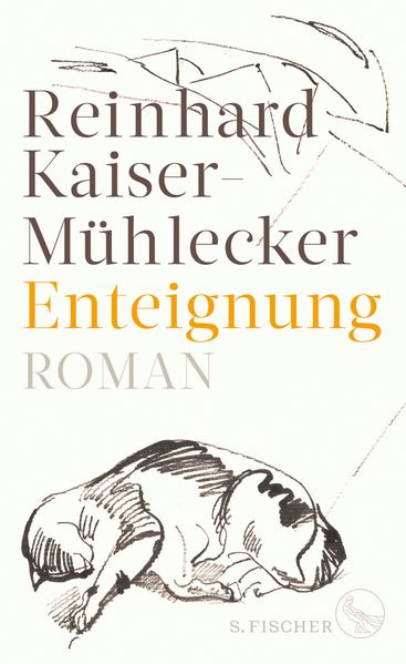 Cover: Enteignung