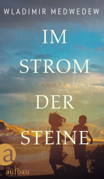 Cover: Im Strom der Steine