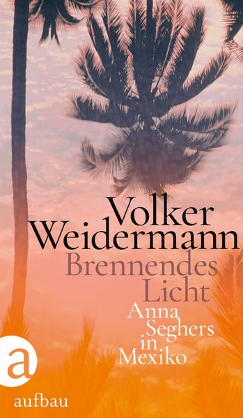 Cover: Brennendes Licht