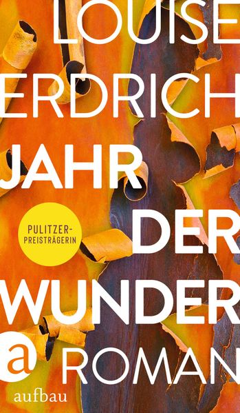 Cover: Jahr der Wunder