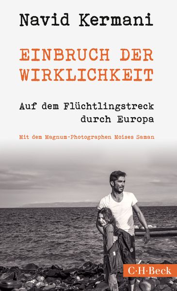Cover: Einbruch der Wirklichkeit
