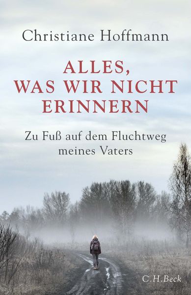 Cover: Alles, was wir nicht erinnern