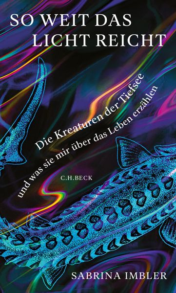 Cover: So weit das Licht reicht
