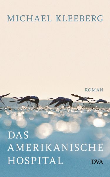 Cover: Das amerikanische Hospital