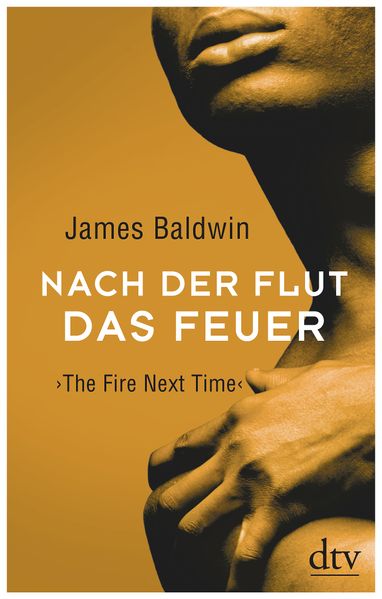 Cover: Nach der Flut das Feuer