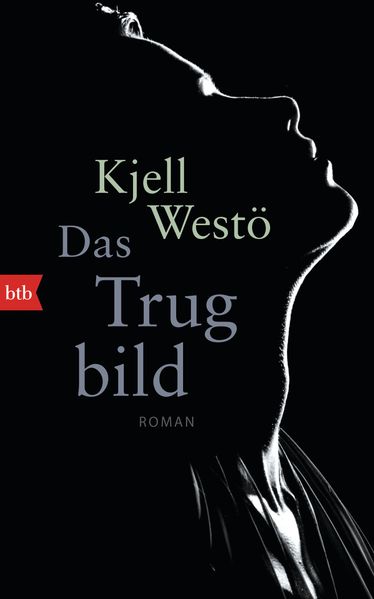 Cover: Das Trugbild