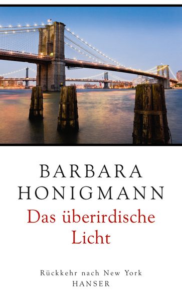 Cover: Das überirdische Licht