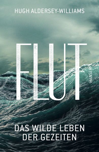 Cover: Flut