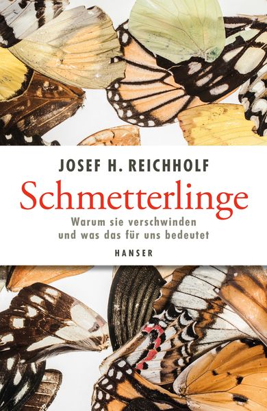 Cover: Schmetterlinge