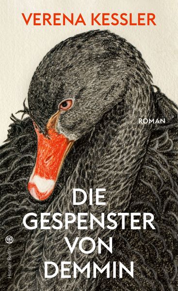 Cover: Die Gespenster von Demmin
