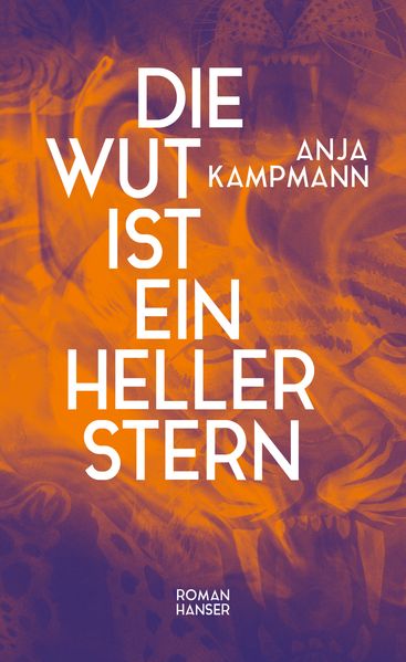 Cover: Die Wut ist ein heller Stern