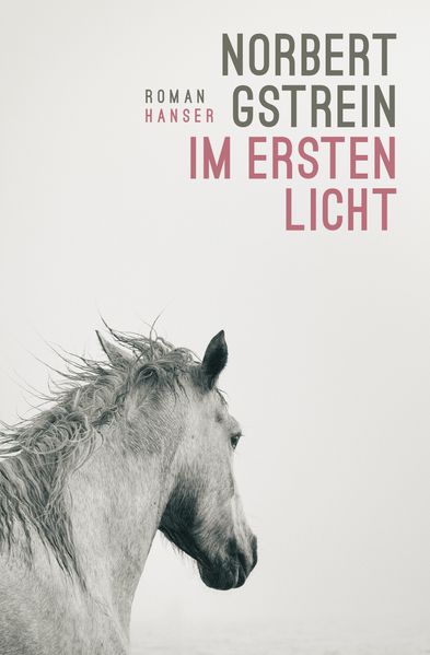 Cover: Im ersten Licht
