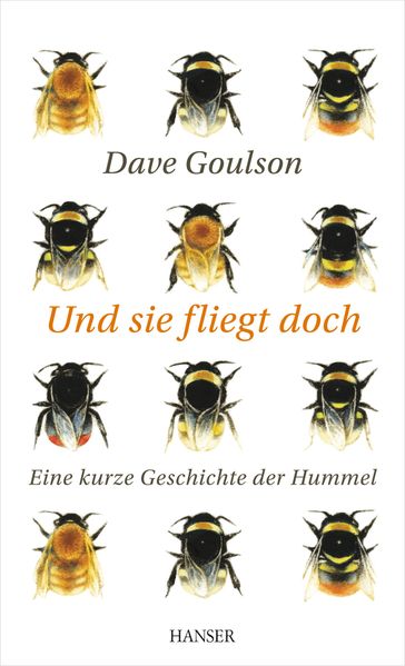 Cover: Und sie fliegt doch - Eine kurze Geschichte der Hummel