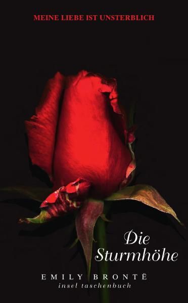 Cover: Die Sturmhöhe
