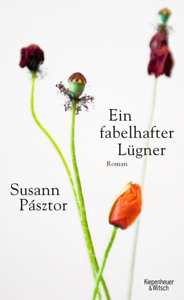 Cover: Ein fabelhafter Lügner