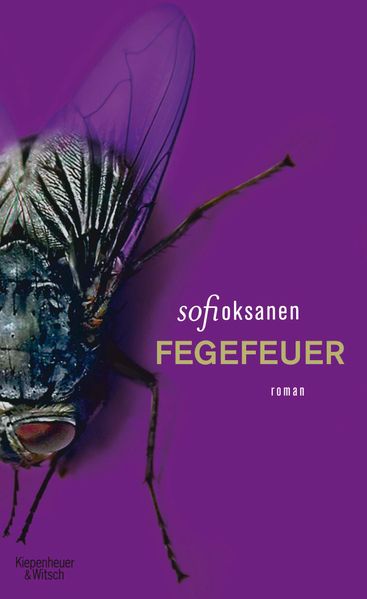Cover: Fegefeuer