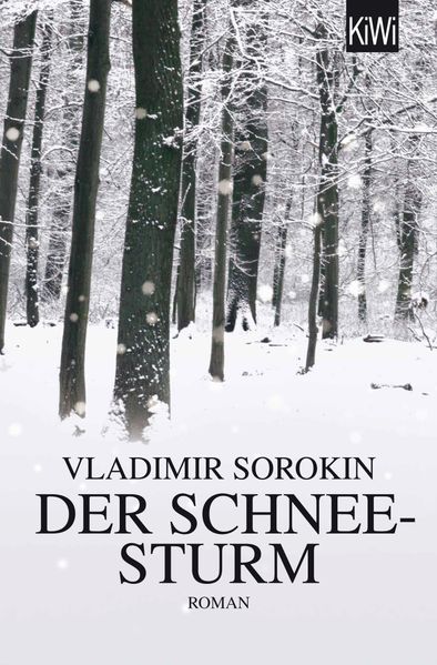 Cover: Der Schneesturm