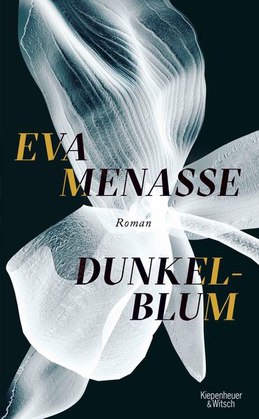 Cover: Dunkelblum