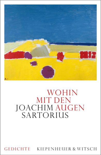 Cover: Wohin mit den Augen