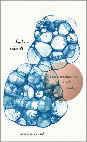 Cover: sommerschaums ernte