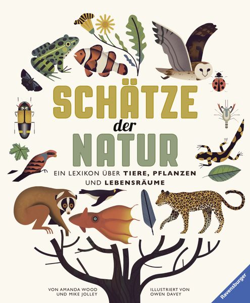 Cover: Schätze der Natur