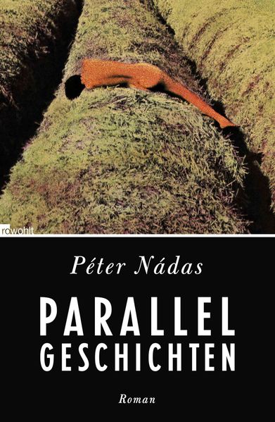 Cover: Parallelgeschichten