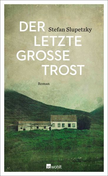 Cover: Der letzte große Trost