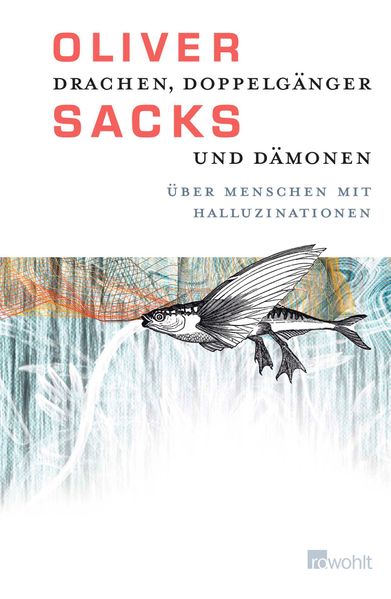 Cover: Drachen, Doppelgänger und Dämonen
