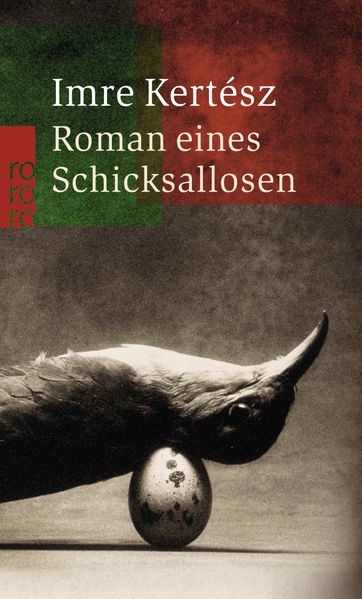 Cover: Roman eines Schicksallosen