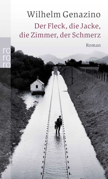 Cover: Der Fleck, die Jacke, die Zimmer, der Schmerz