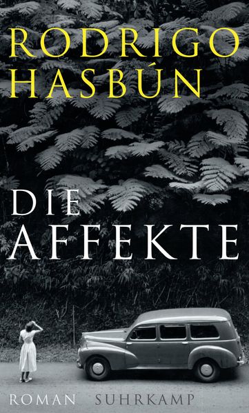 Cover: Die Affekte
