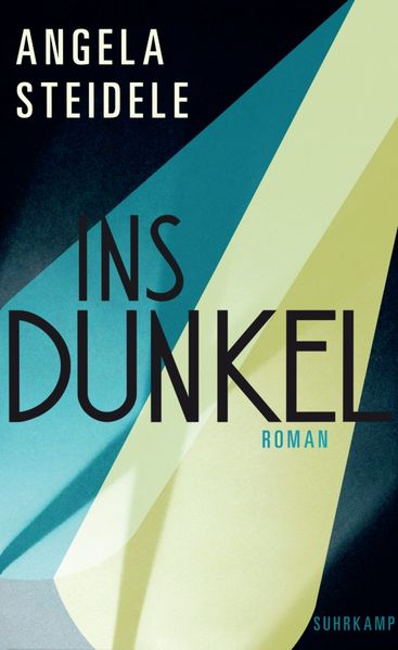 Cover: Ins Dunkel