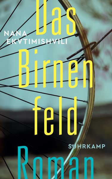 Cover: Das Birnenfeld