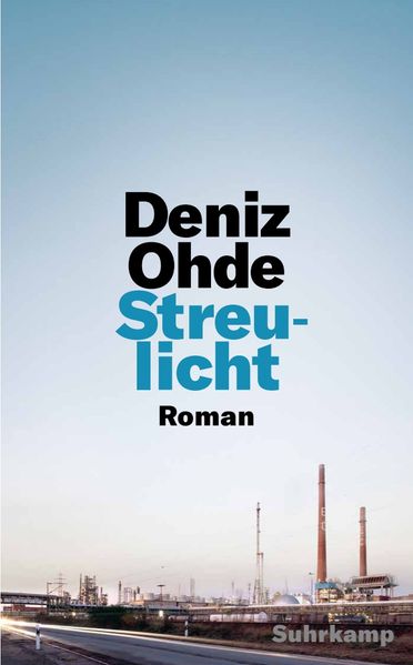 Cover: Streulicht
