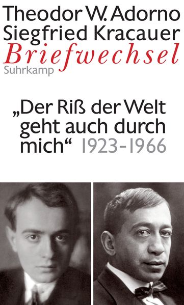Cover: Der Riß der Welt geht auch durch mich... Briefe und Briefwechsel