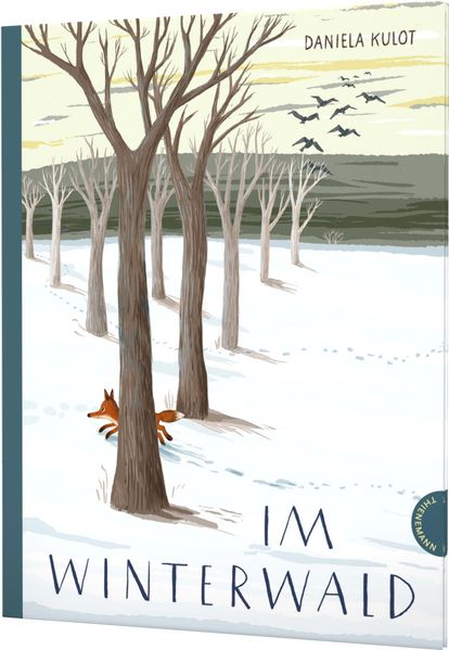Cover: Im Winterwald