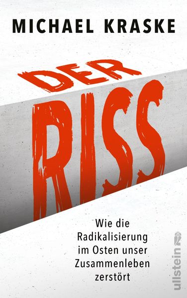Cover: Der Riss