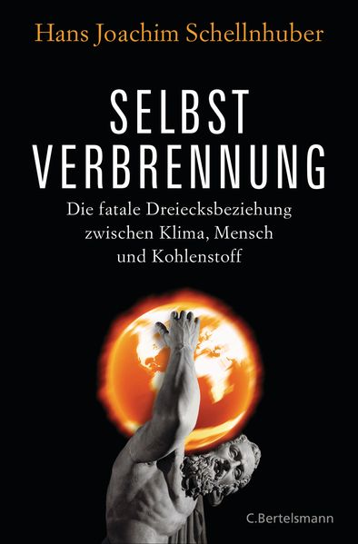 Cover: Selbstverbrennung