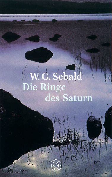 Cover: Die Ringe des Saturn