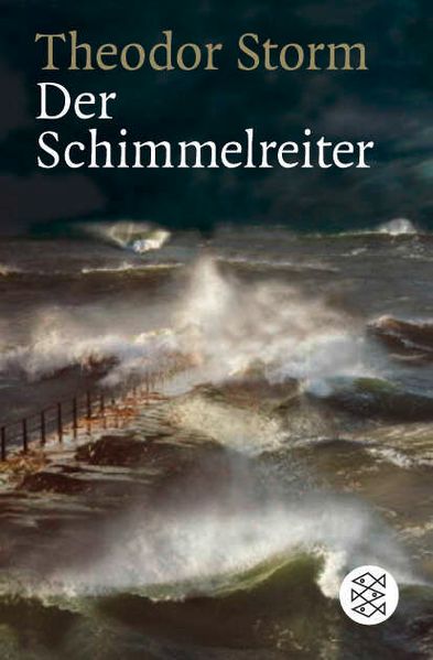 Cover: Der Schimmelreiter