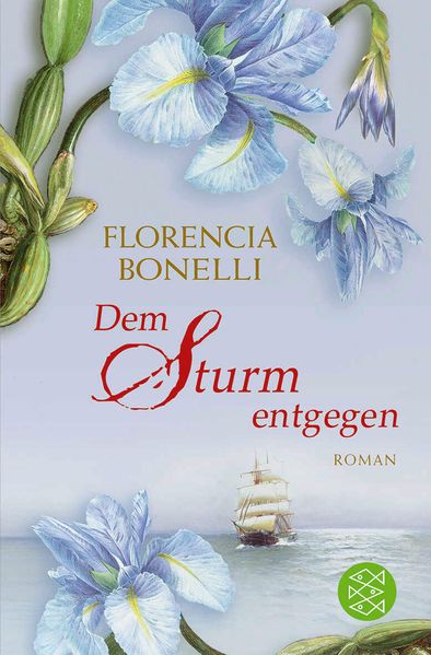 Cover: Dem Sturm entgegen (El cuarto arcano)