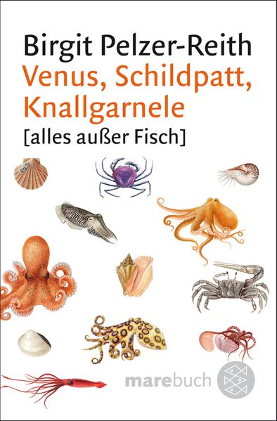 Cover: Venus, Schildpatt, Knallgarnele