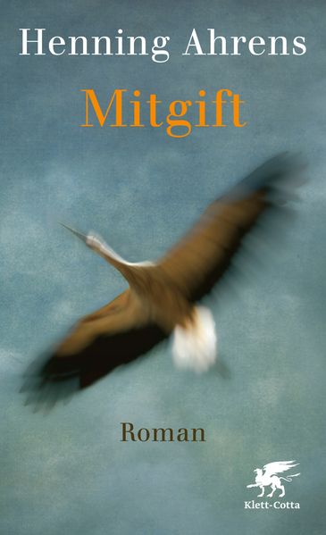 Cover: Mitgift