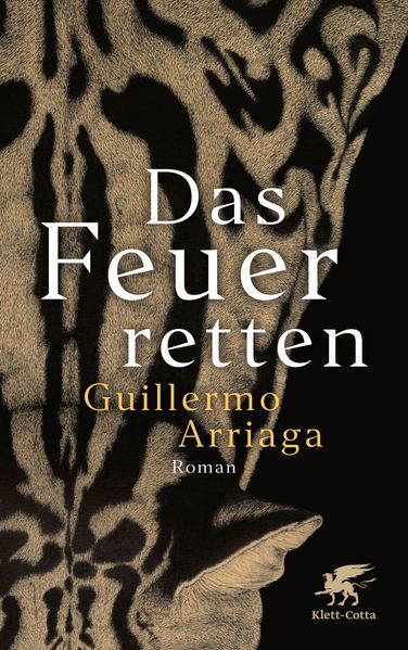 Cover: Das Feuer retten
