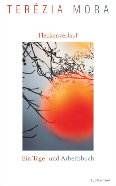 Cover: Fleckenverlauf