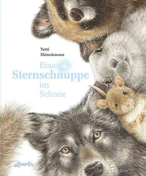 Cover: Eine Sternschnuppe im Schnee
